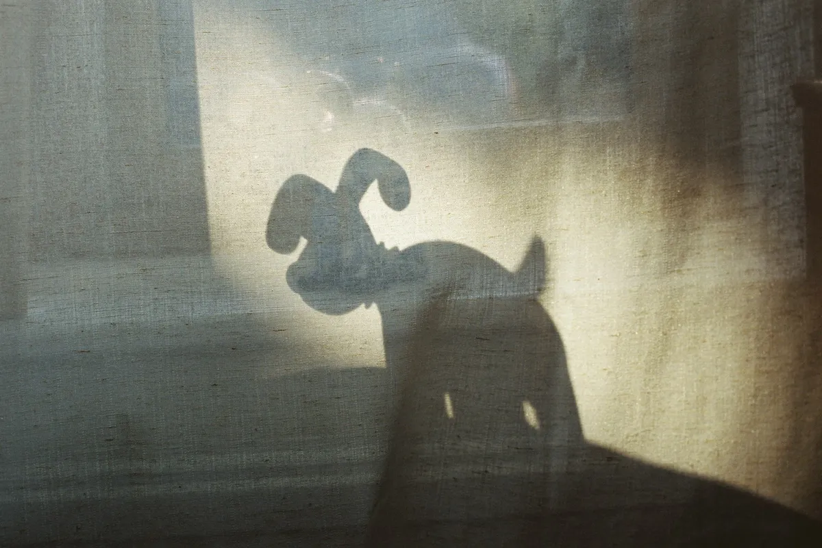 Guilt After Putting Your Dog Down: The Three Things Owners Blame Themselves For